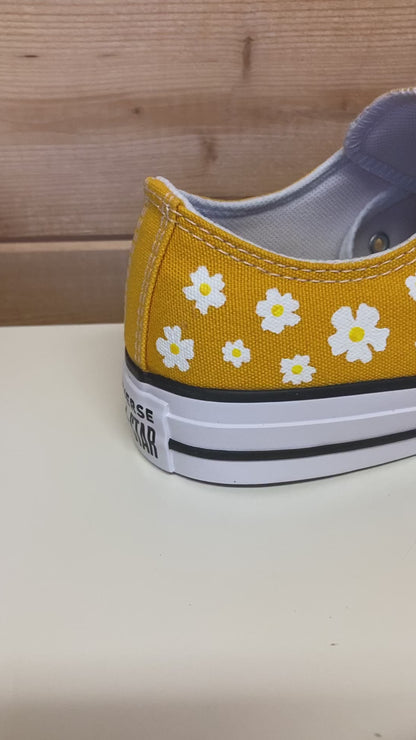 Paddington Bear Low Top Converse